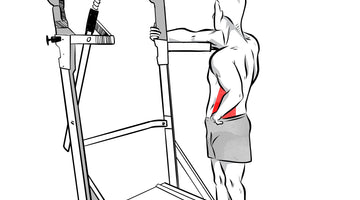 EXERCISES FOR THE DAILY CORE™